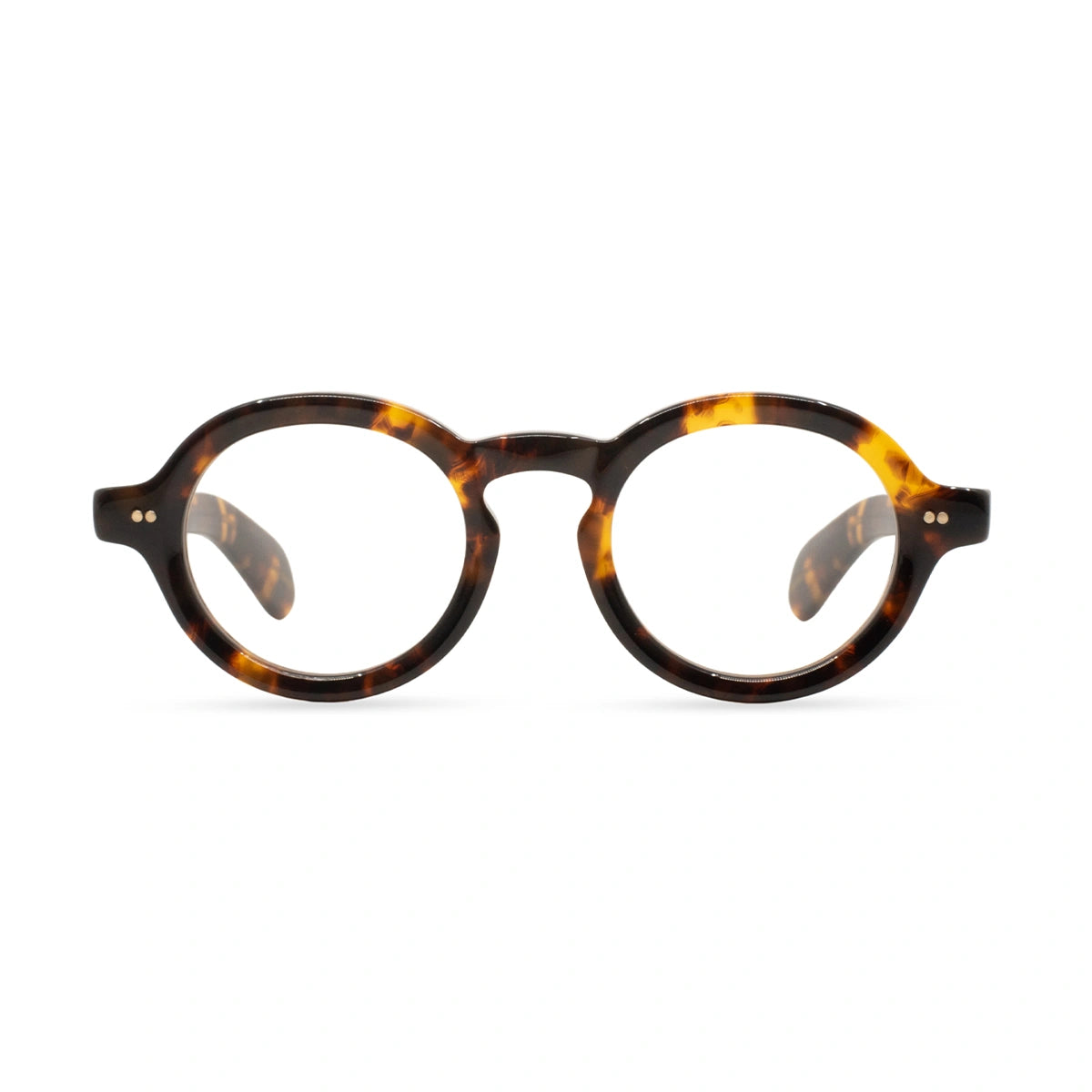 MOSCOT FOYGEL Classic Havana