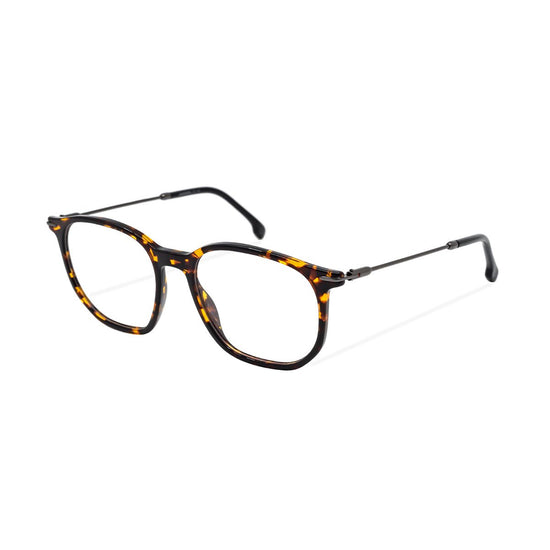 CARRERA 204 581