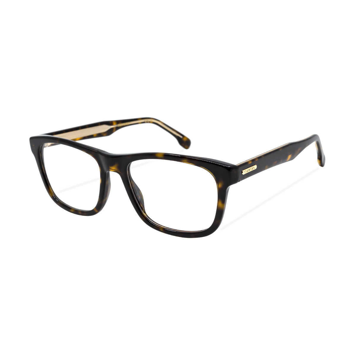 CARRERA 249 86